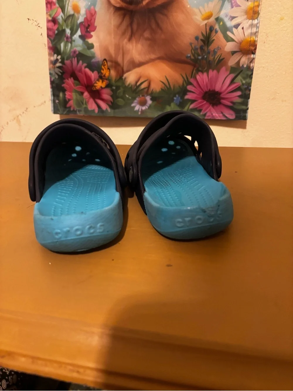 CROCS Kids' Clog in Black with Bright Blue Lining